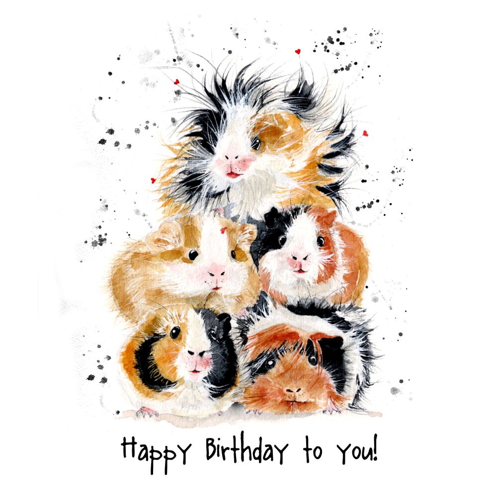 EDL - 013C Happy birthday to you guinea pigs