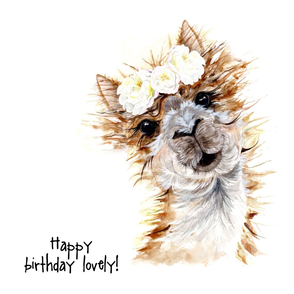 EDL - 021C Happy birthday lovely llama
