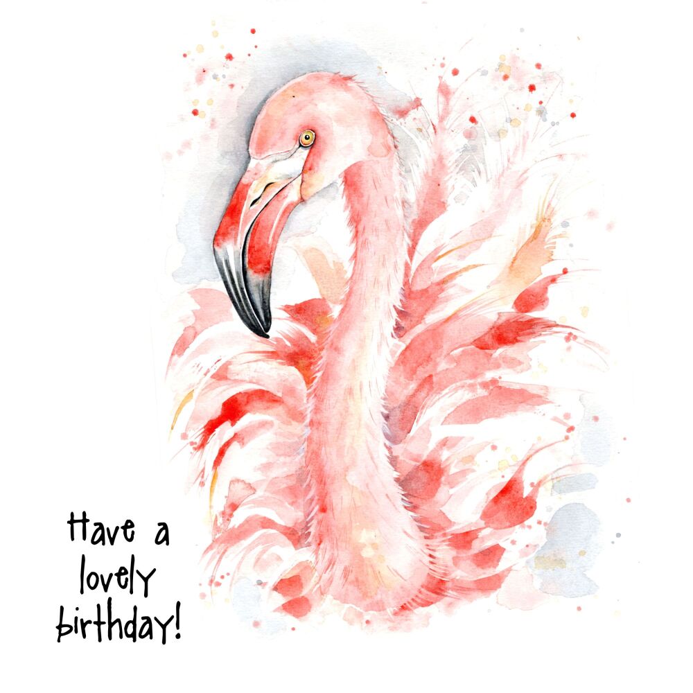 EDL - 022C Have a lovely birthday