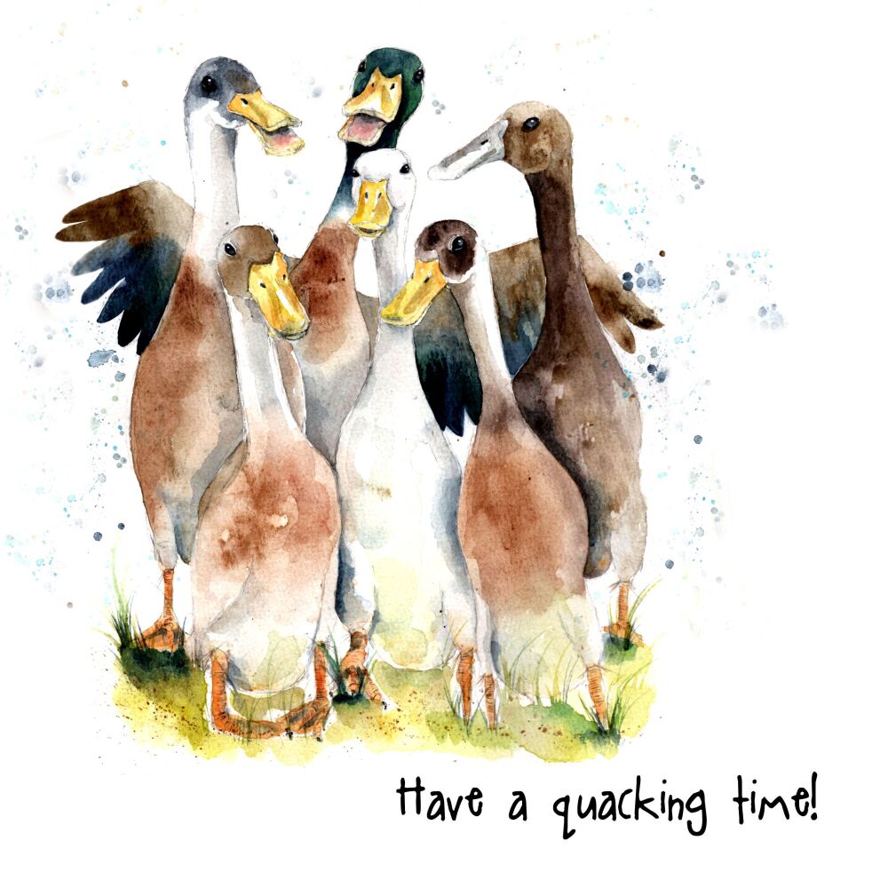 EDL - 023C Have a quacking time
