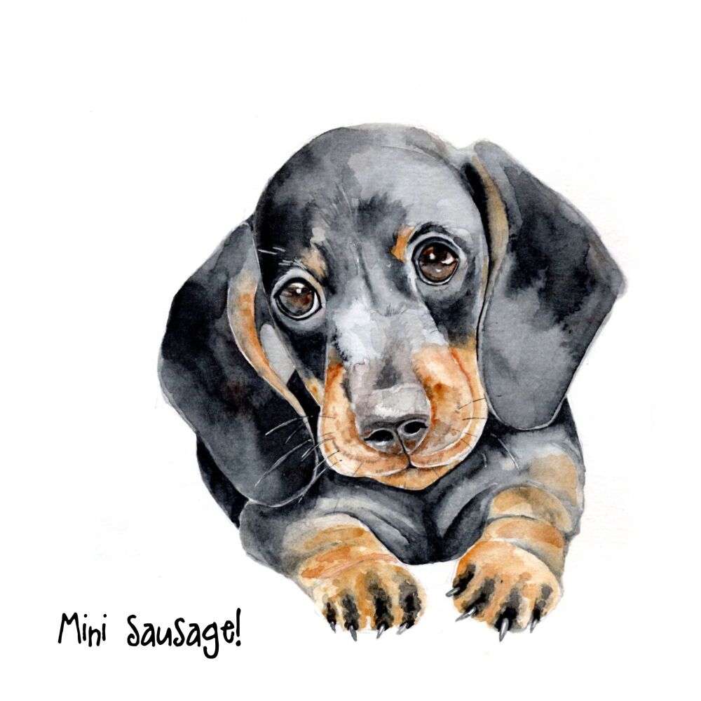 EDL - 024C Mini sausage