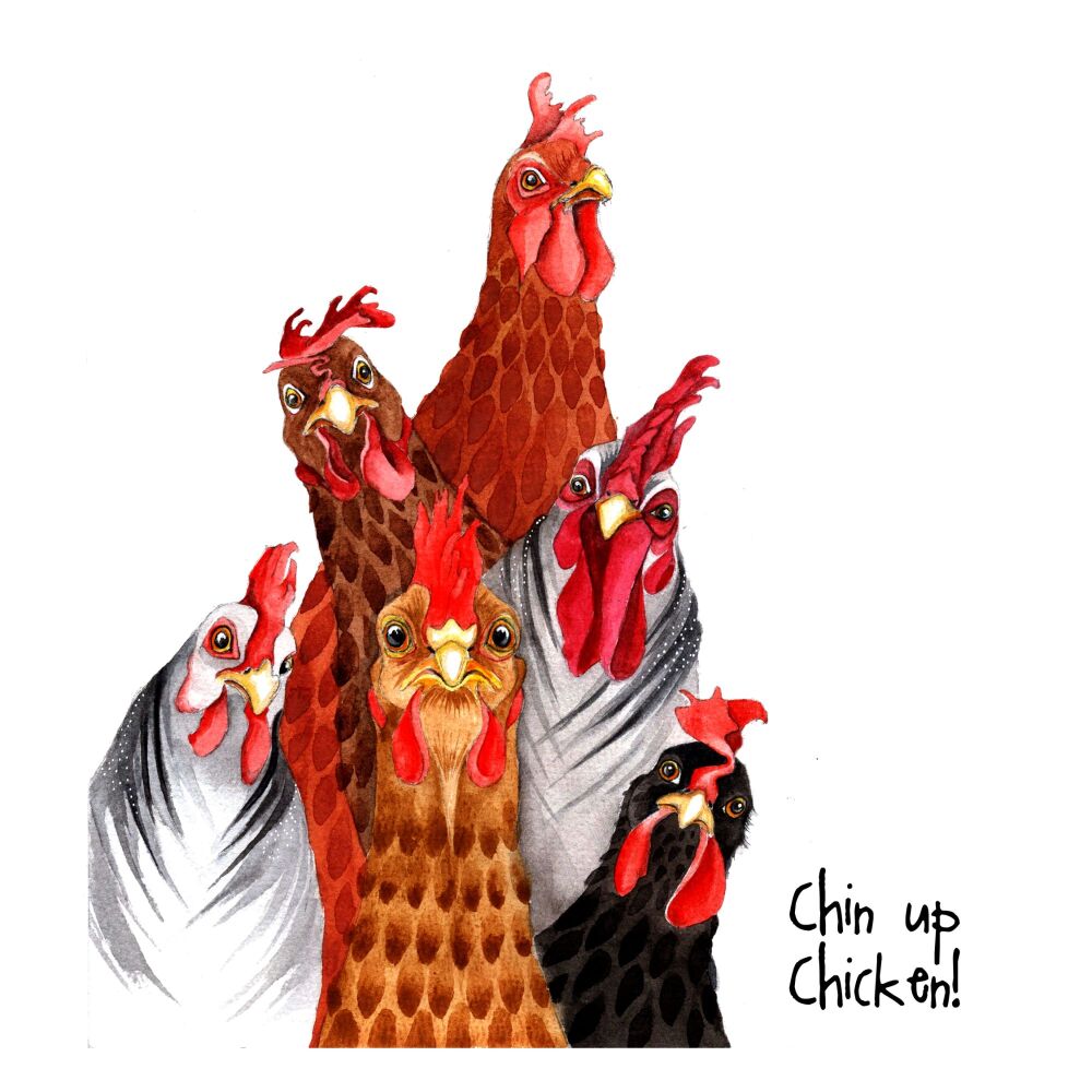 JTS - 020C Chin up chicken