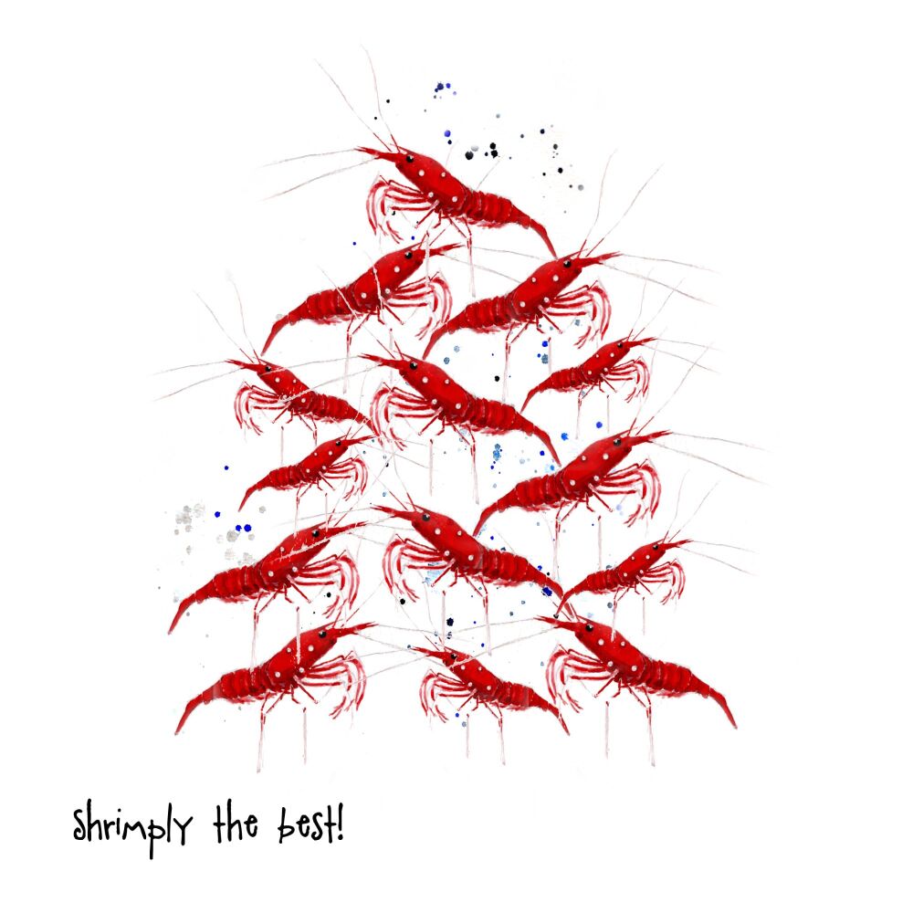 Shrimply the best!