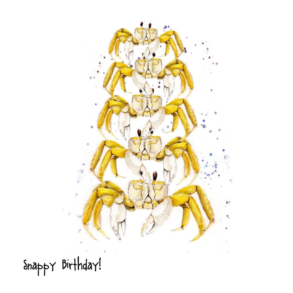 UTS - 010C Snappy birthday