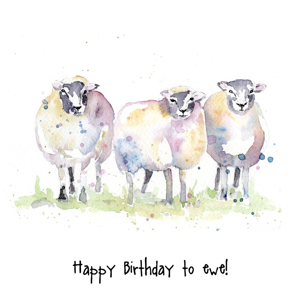 CGAS - 004C Happy birthday to ewe