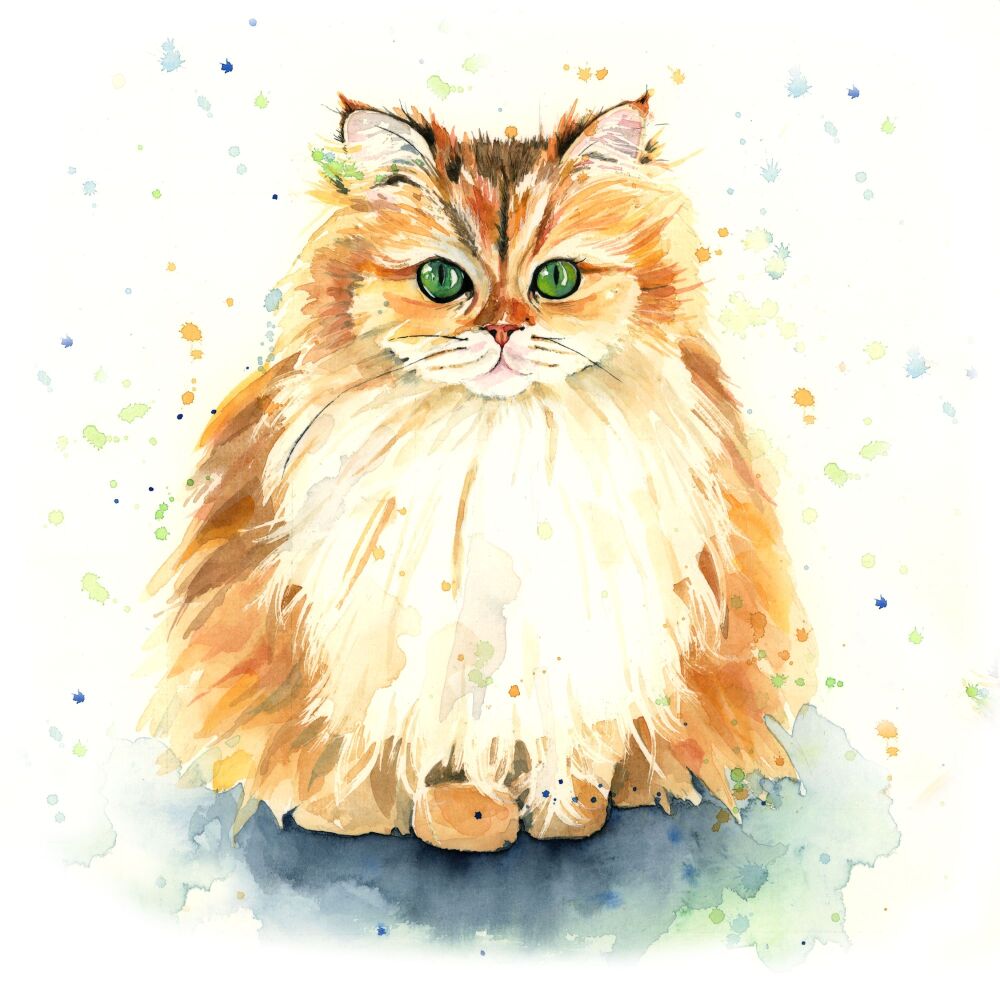 CGAS - 009C Meow