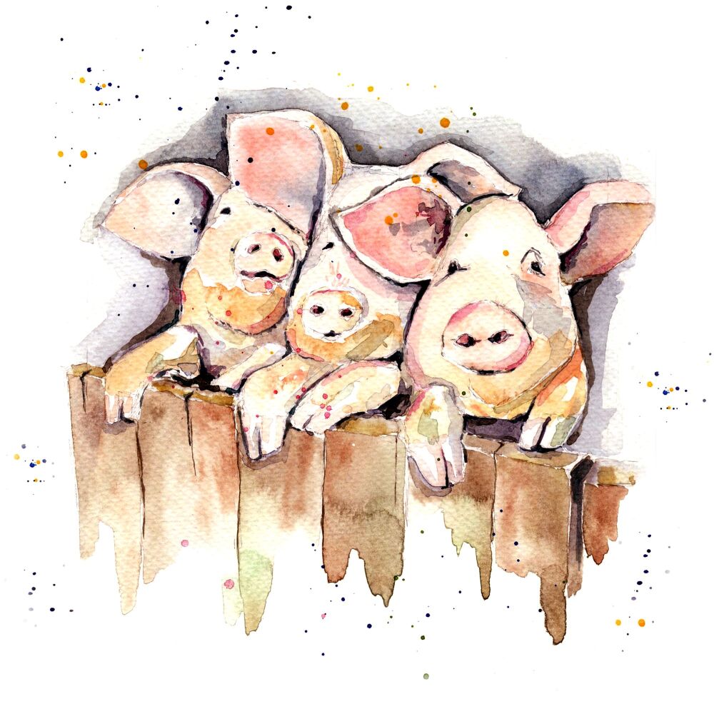 CGAS - 008C Oink