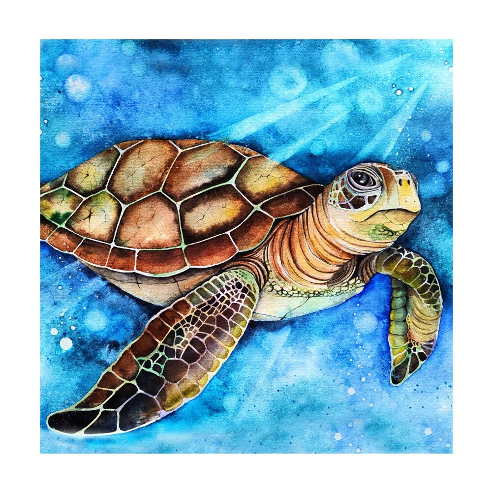 CGAS - 014C Turtle
