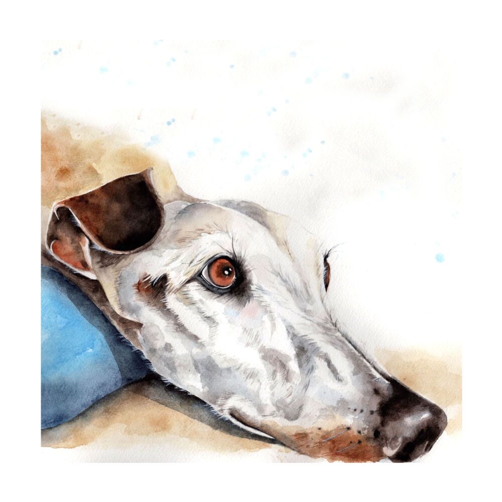 CGAS - 019C Greyhound