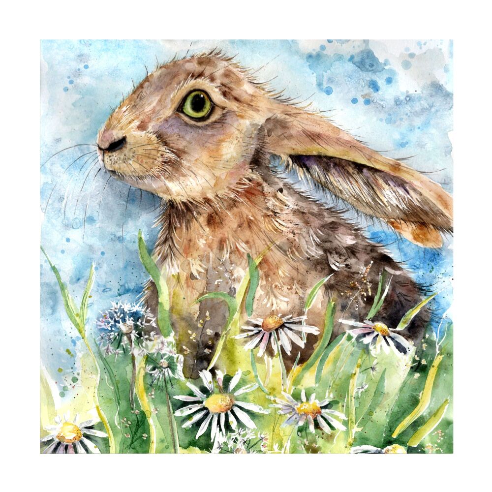 BP - 002C Hoppy hare