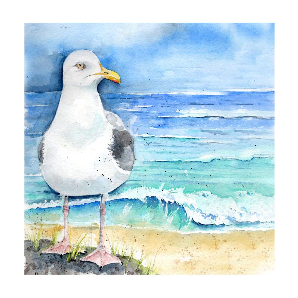 BP - 004C Seagull