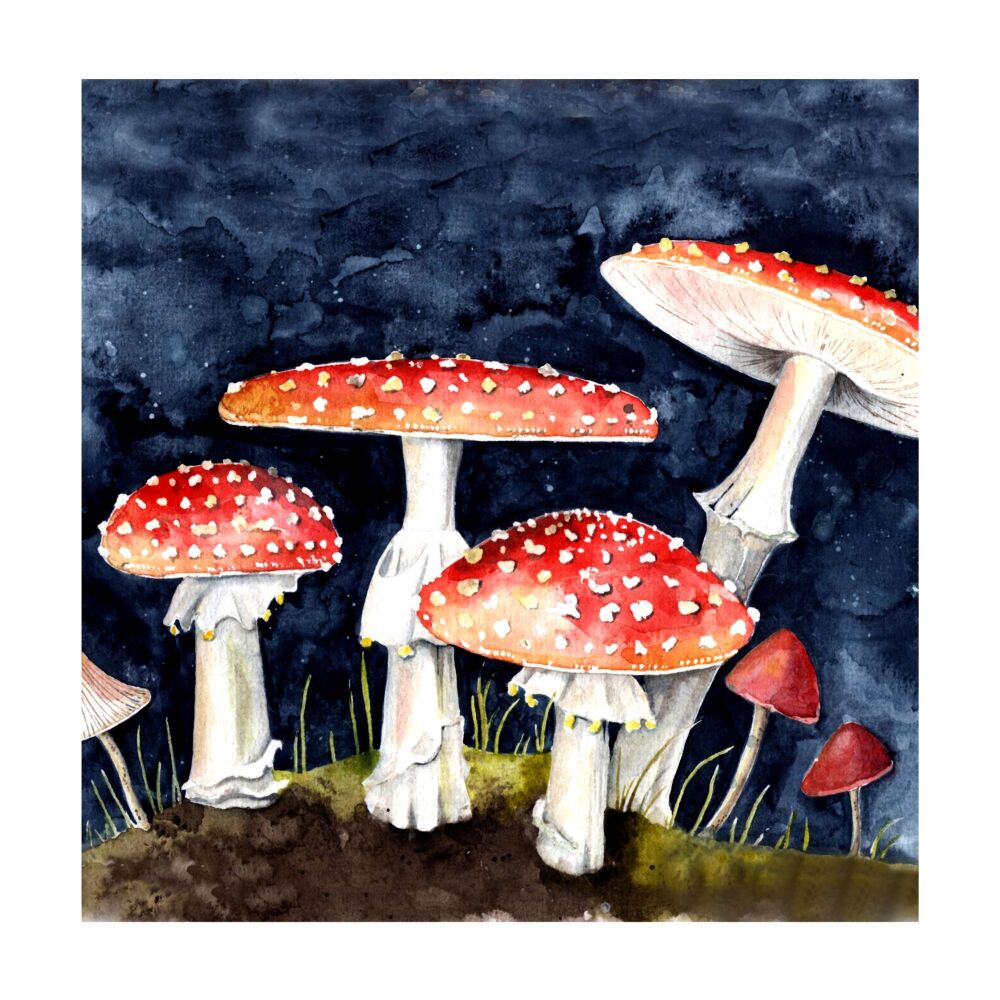 BP - 007C Toadstools
