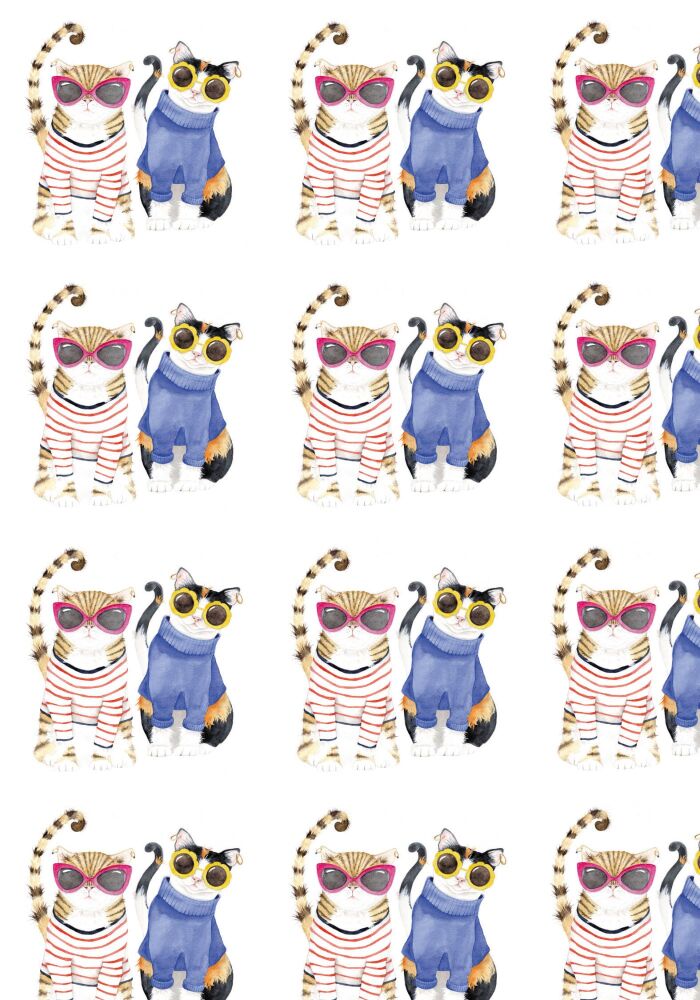 GIFTWRAP - 005 Birthday besties - Wrapping paper - 2 sheets