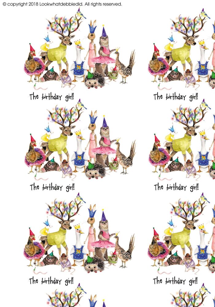 GIFTWRAP - 006 The birthday girl - Wrapping paper - 2 sheets