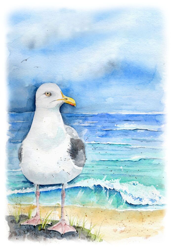 BP - 002P Seagull