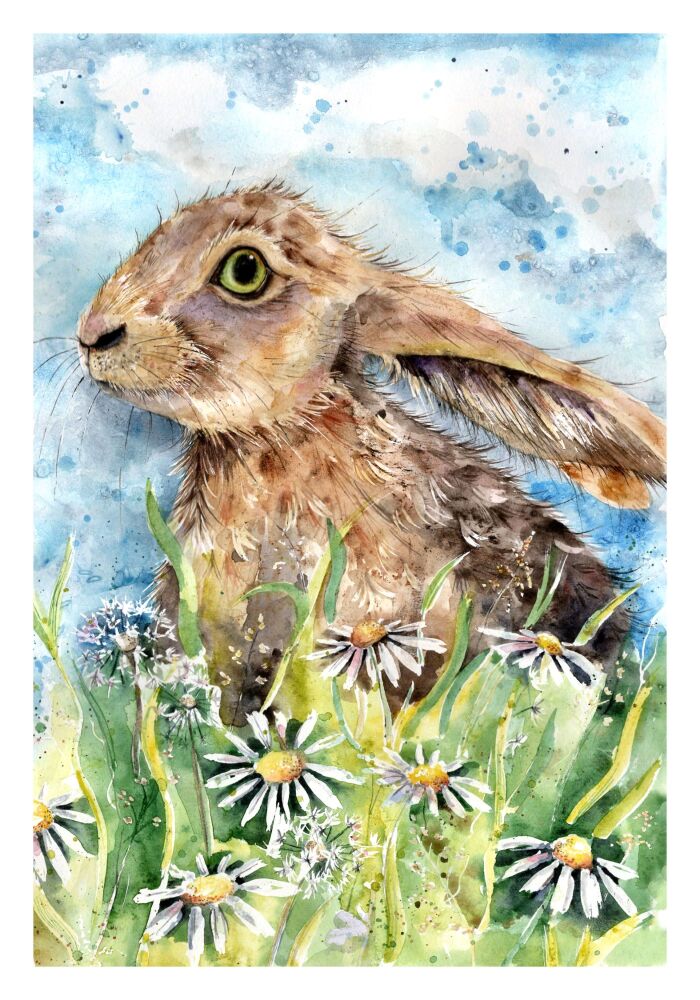 BP - 004P Hoppy hare