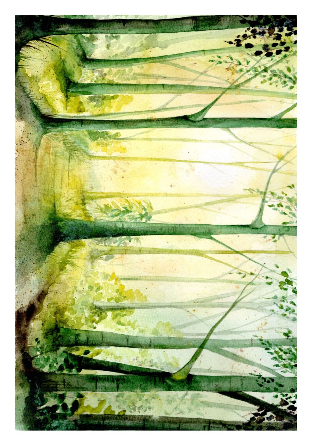 BP - 006P The trees