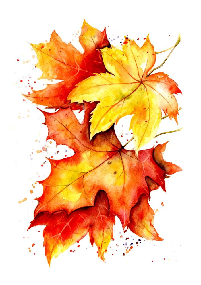 BP - 012P Autumn leaves