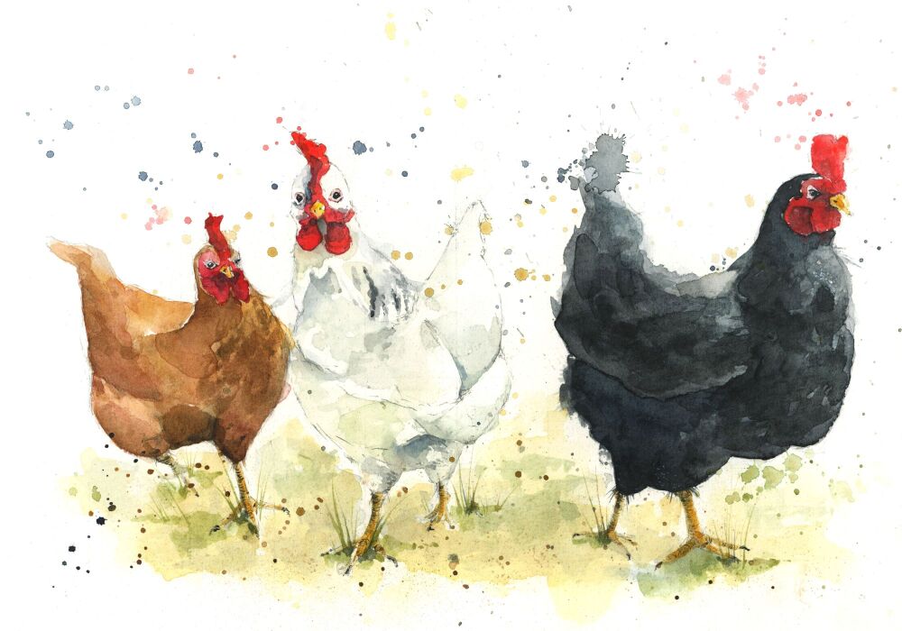 CGAS - 004P Chickens