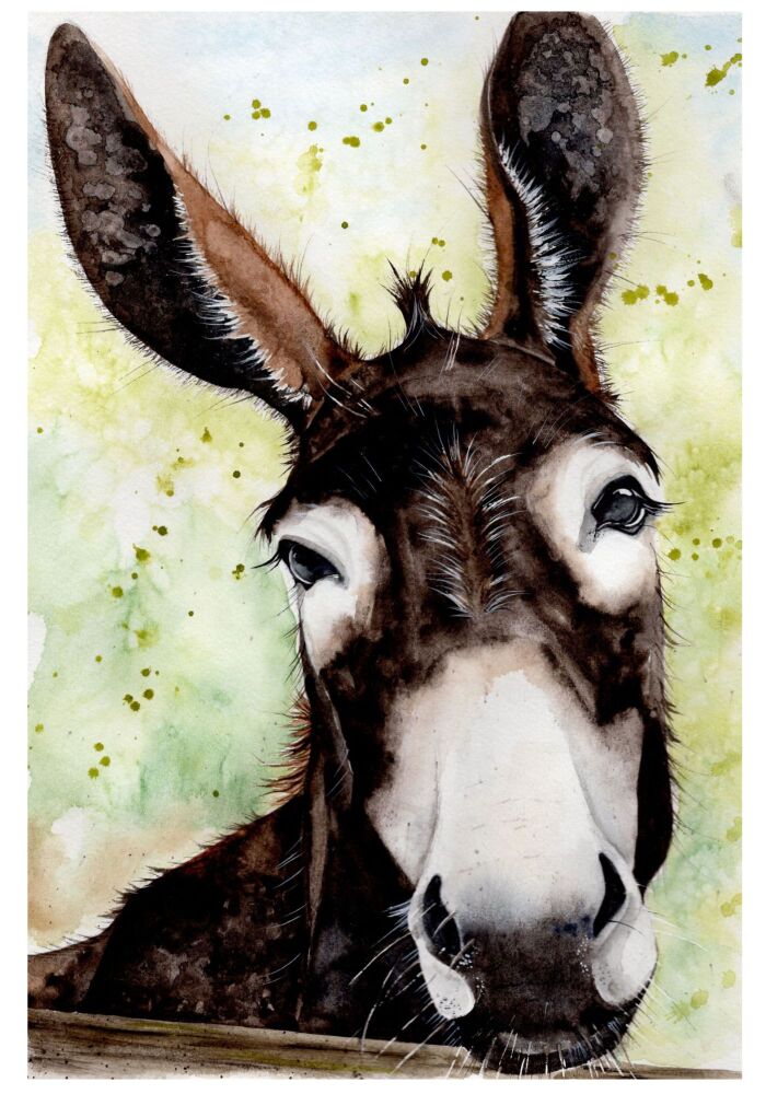 CGAS - 005P Donkey