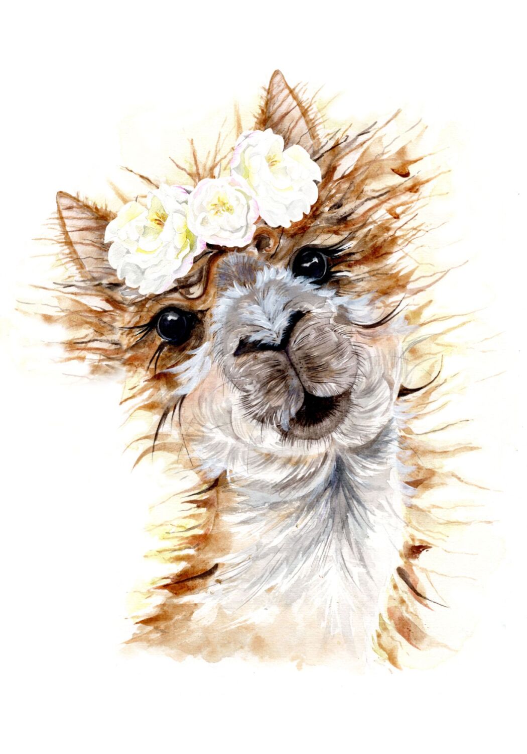 CGAS - 007P Alpaca