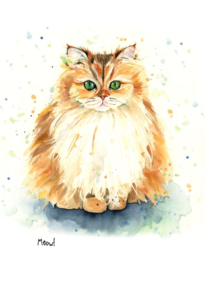CGAS - 013P Meow