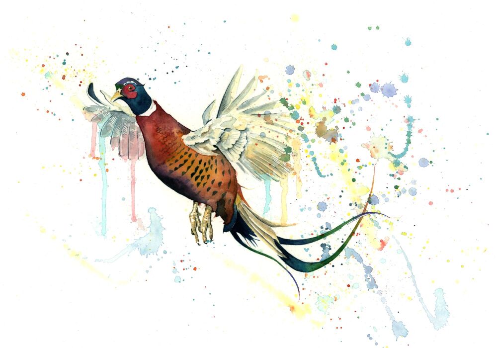CGAS - 018P Pheasant