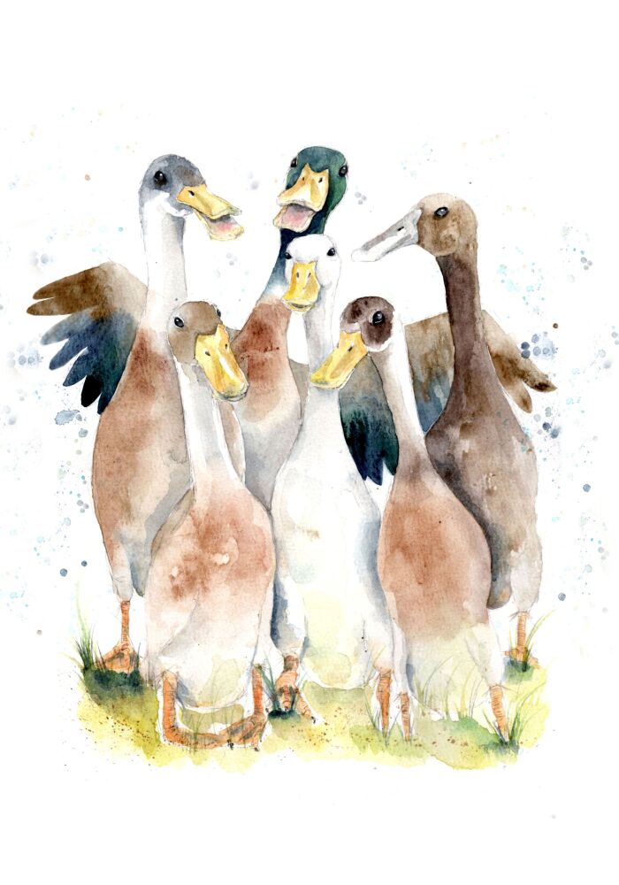 CGAS - 019P Runner ducks
