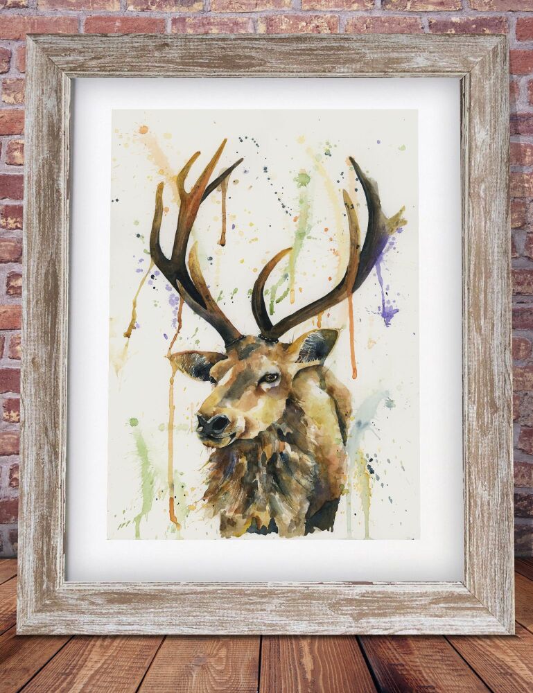 CGAS - 020P Stag