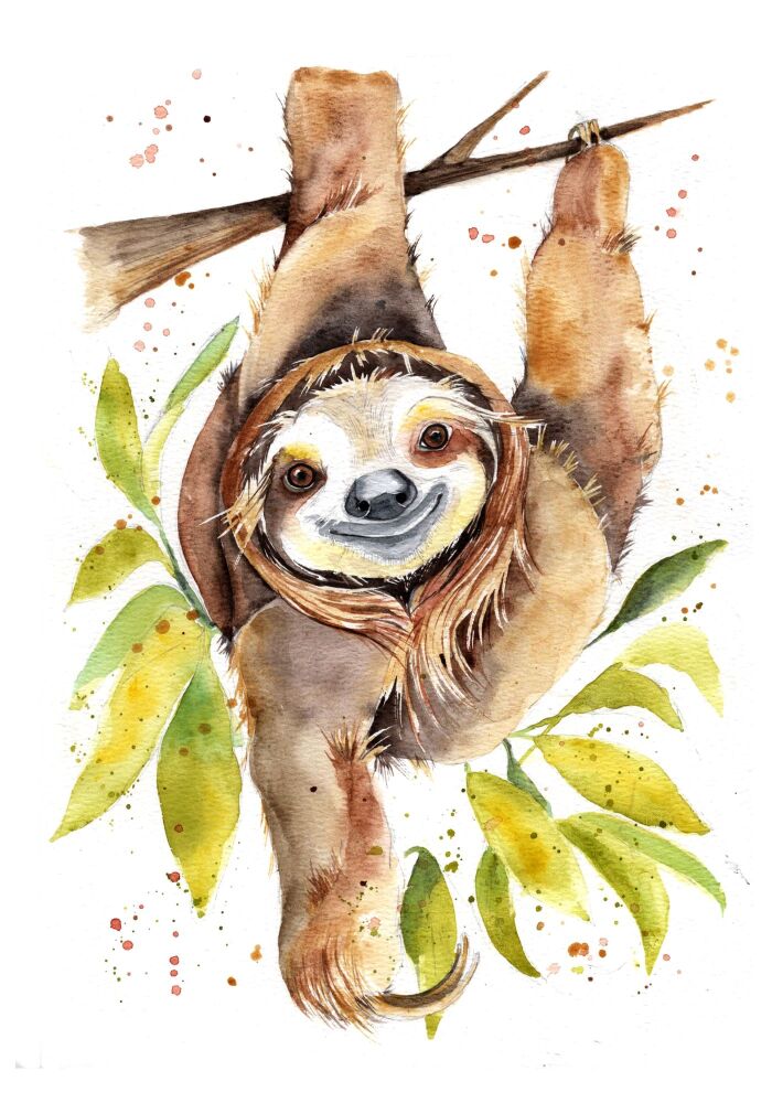 CGAS - 023P Sloth