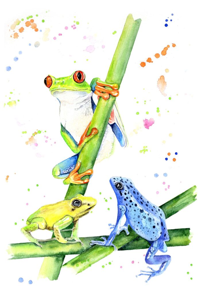 CGAS - 026P Frogs