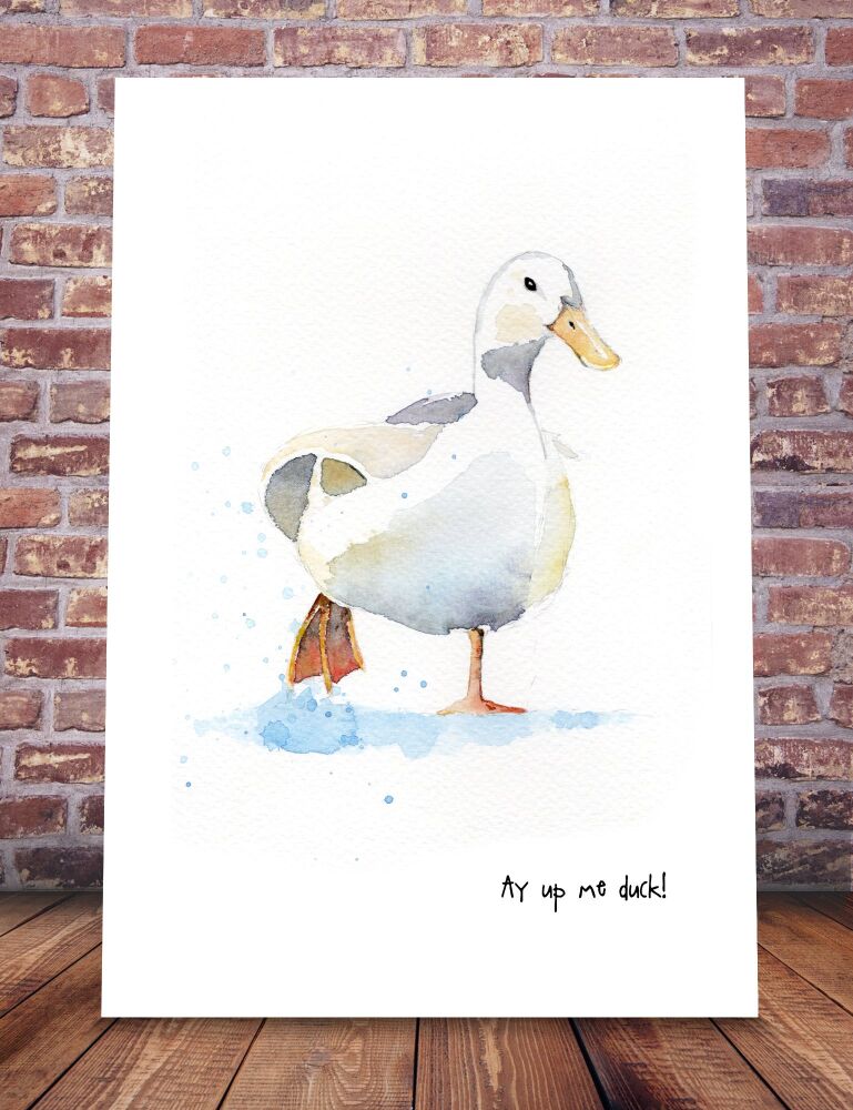 EDL - 005P Ay up me duck