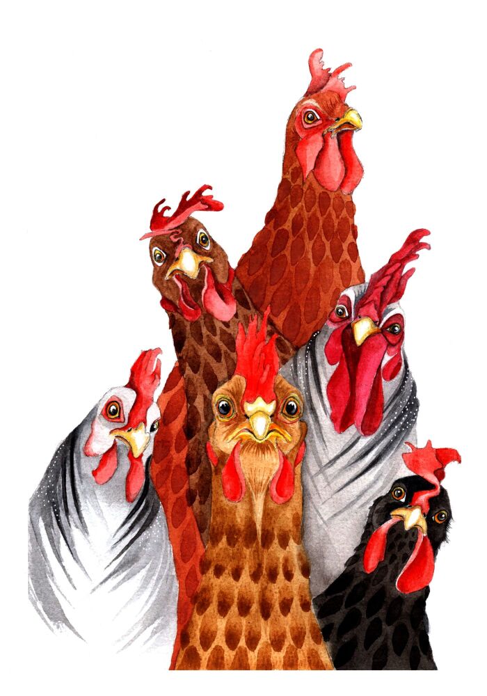 EDL - 015P Chin up chicken