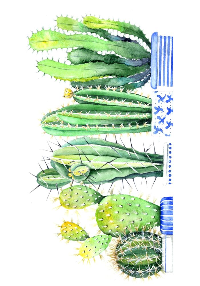 EDL - 022P Cactus