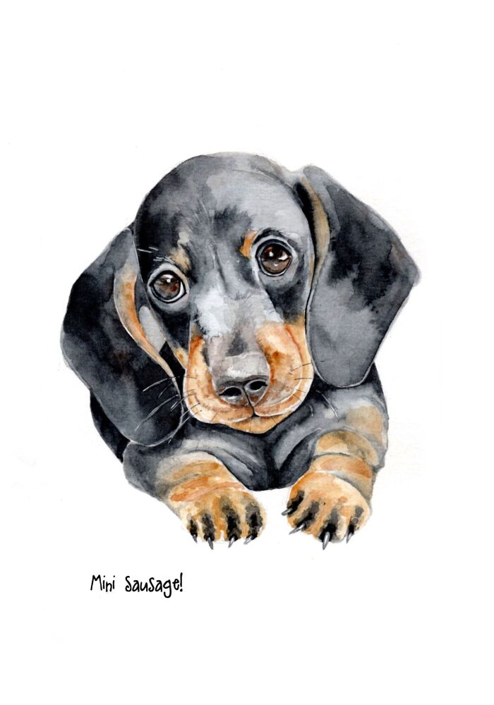 EDL - 024P Mini sausage