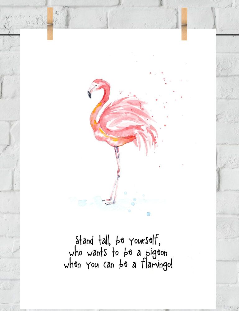 EDL - 027P Flamingo pigeon