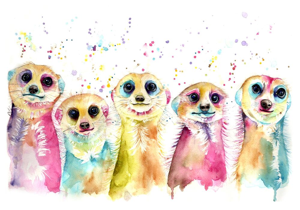KIDS - 008P Meerkats