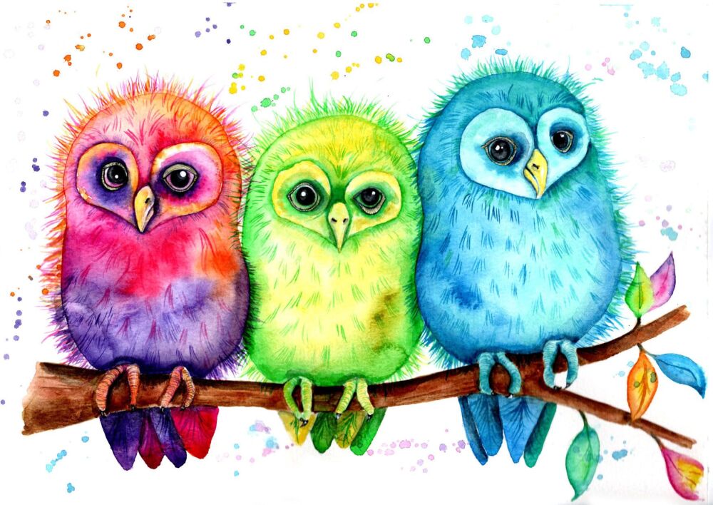 KIDS - 010P Rainbow owls