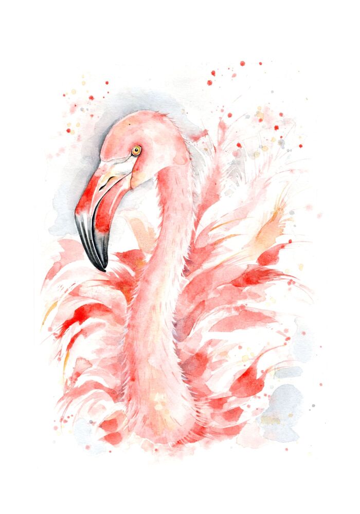 KIDS - 018P Flamingo
