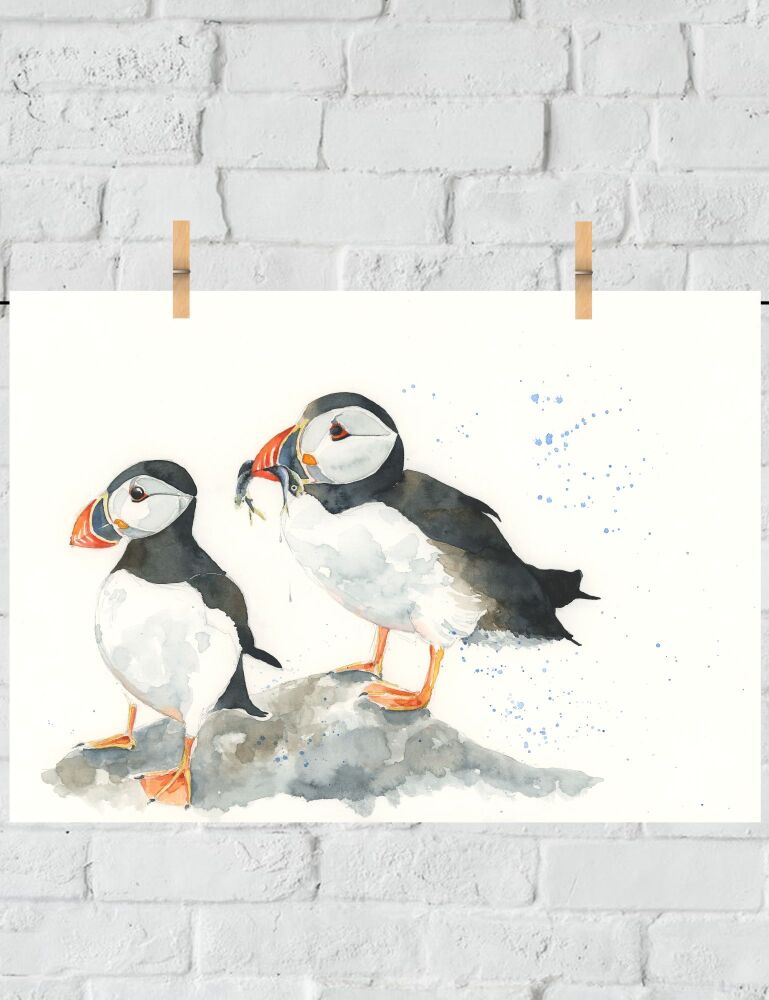 UTS - 009P Puffins