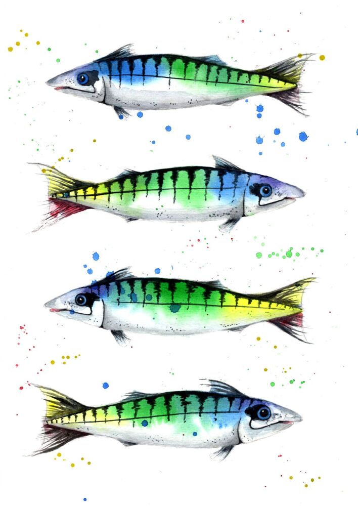 (I) Adults and kids watercolour painting club - Saturday MAY 30th RAINBOW FISHES THEME