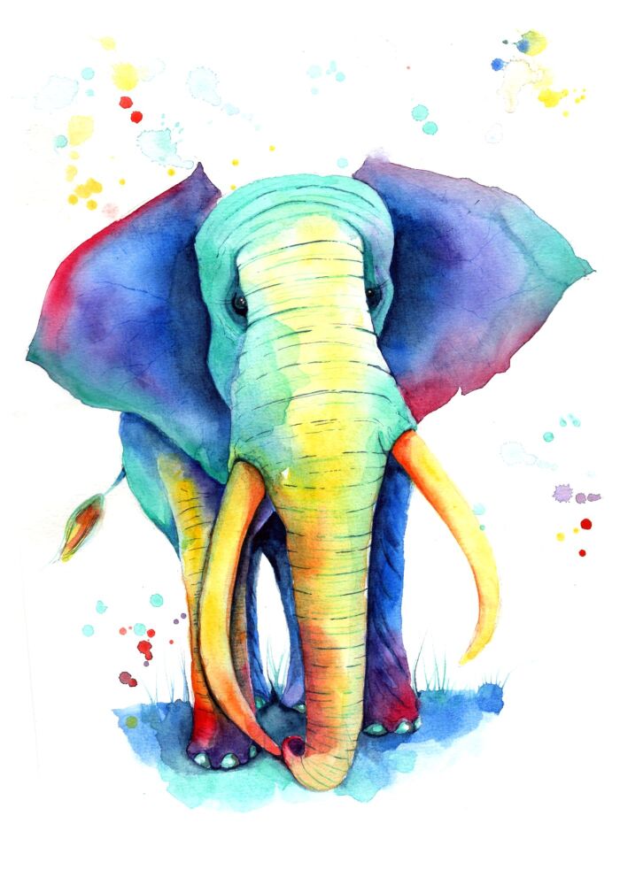 (j) Adults and kids watercolour painting club - Saturday JUNE 6th RAINBOW ELEPHANT THEME