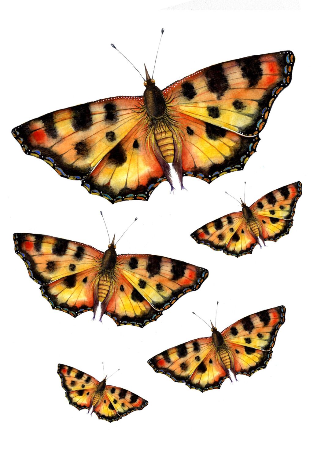 (I) Adults and kids watercolour painting club - Saturday MAY 30th BUTTERFLI