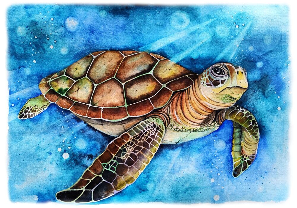 (l) Adults and kids watercolour painting club - Saturday JULY 25th TURTLE THEME