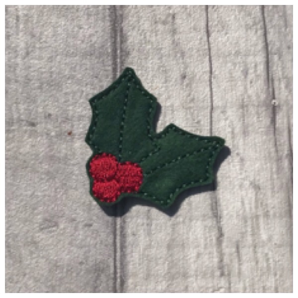 Holly leaf feltie 