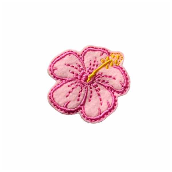 Hibiscus Feltie Pink