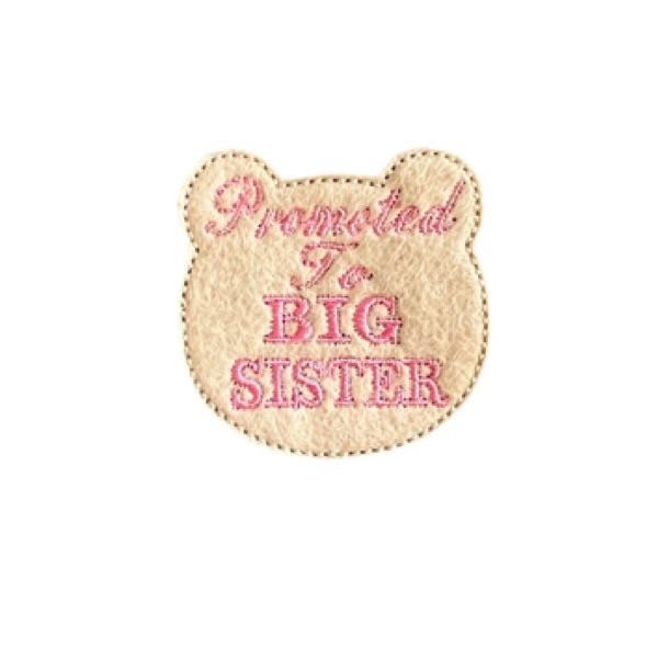 Promoted To Big Sister Bear Feltie