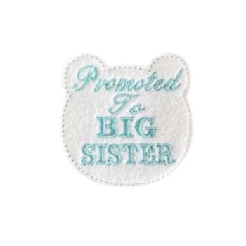 Promoted to big Sister Bear Blue