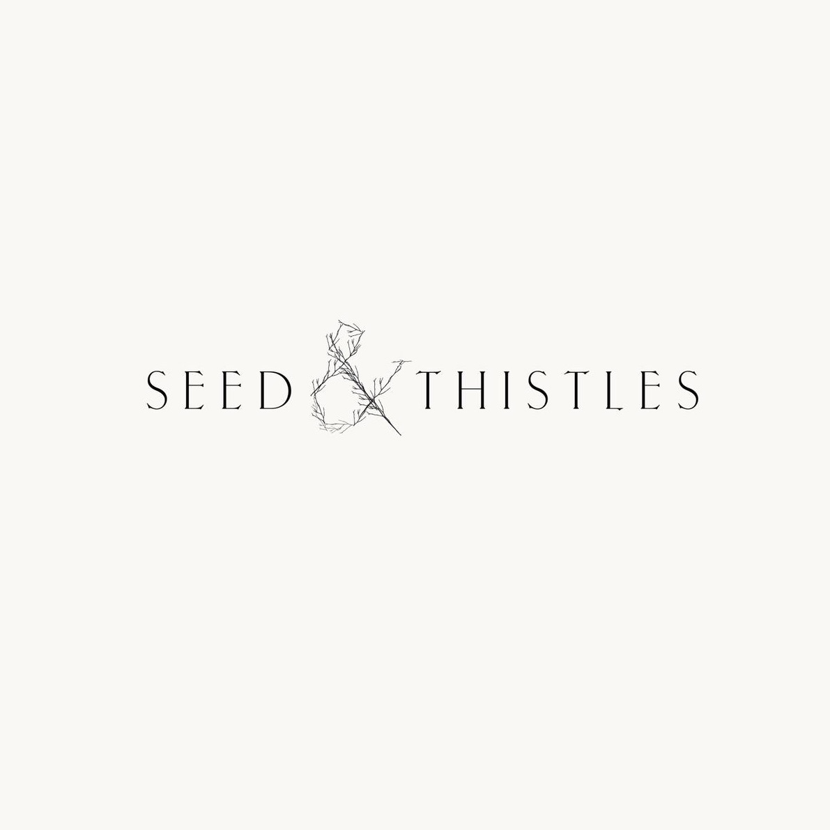 Seed and Thistles â€“Â dried botanical designs