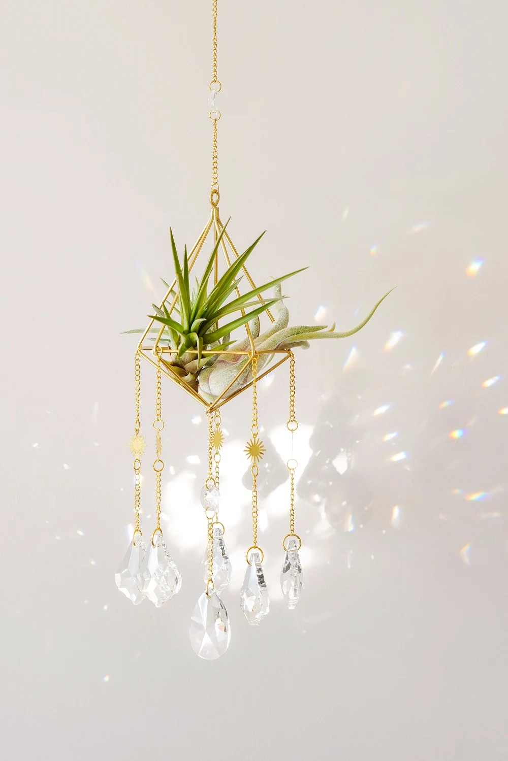 Crystl Airplant Holder by Xander Kostroma